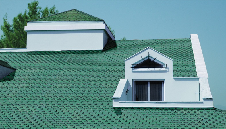 Küçükpark profesyonel Şed Çatı – Shingle cati örneği